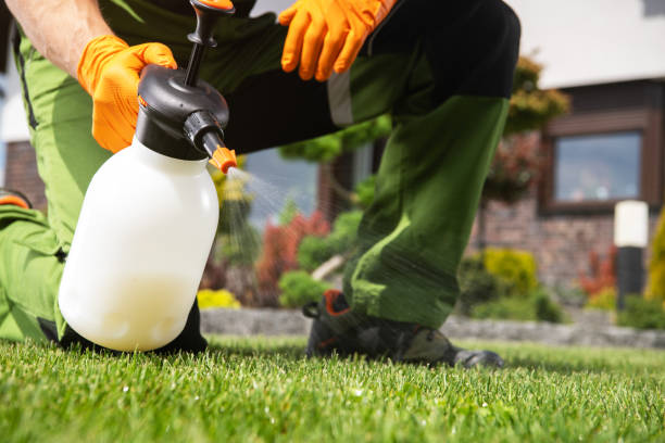 Best Best Pest Control Companies  in Mauriceville, TX