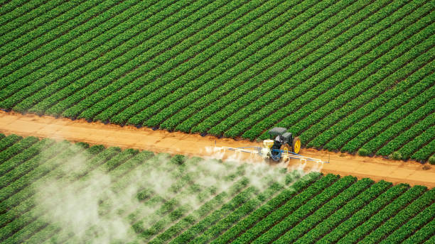 Reliable Mauriceville, TX Pest Control Solutions