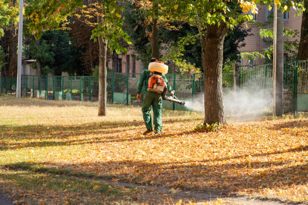 Best Affordable Pest Control Services  in Mauriceville, TX