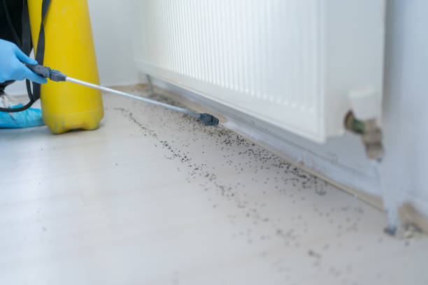 Best Commercial Pest Control Services  in Mauriceville, TX